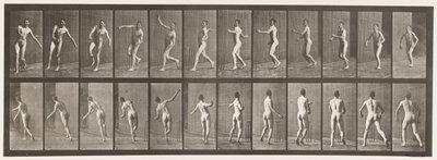 プレート290.クリケット;アームボウリング、1885年 作： Eadweard Muybridge