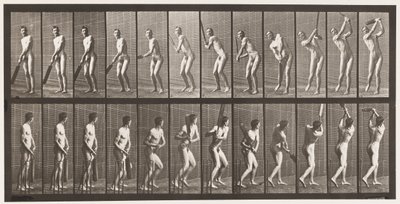 プレート291.クリケット;バッティング;ドライブ、1885 作： Eadweard Muybridge