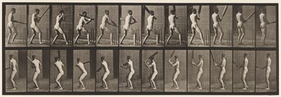 プレート292.クリケット;バッティング;バックアウト、1885 作： Eadweard Muybridge