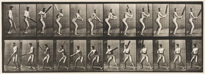 プレート293.クリケット;バッティング;バックカット、1885 作： Eadweard Muybridge
