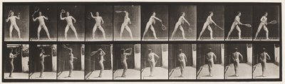 プレート294。ローンテニス。サービング 作： Eadweard Muybridge