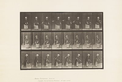 プレート296。ローンテニス 作： Eadweard Muybridge