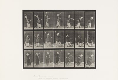 プレート 298.ローンテニス 作： Eadweard Muybridge