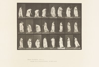 プレート299ボールで遊ぶ 作： Eadweard Muybridge