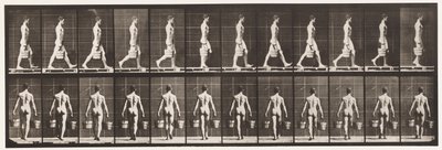 プレート29.ウォーキング、両手に水のバケツを運ぶ、1872〜1885 作： Eadweard Muybridge
