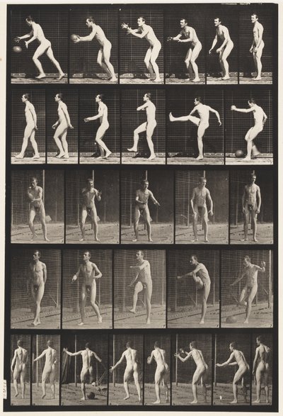 プレート300.フットボール;ドロップキック、1885 作： Eadweard Muybridge