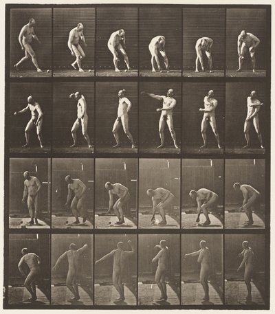 プレート302.ボールを拾って投げる、1885 作： Eadweard Muybridge