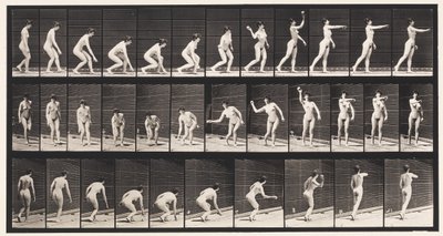 プレート303。ボールを拾って投げる、1872-1885 作： Eadweard Muybridge