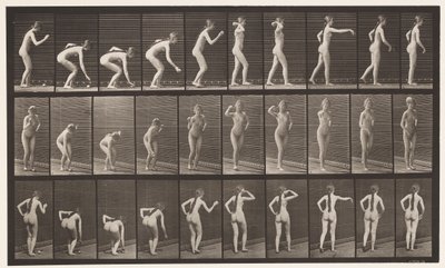 プレート304。ボールを拾って投げる 作： Eadweard Muybridge