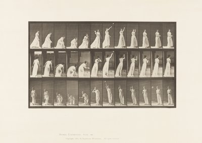 プレート305.ボールを拾って投げる、1885 作： Eadweard Muybridge