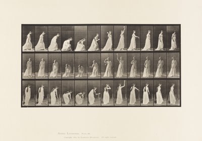 プレート306.ボールを拾って投げる、1885 作： Eadweard Muybridge