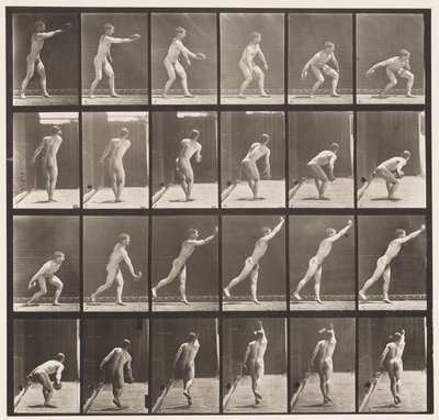 プレート307。鉄の円盤を投げる、1872〜1885 作： Eadweard Muybridge