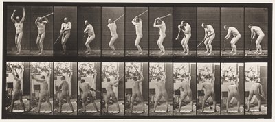 プレート308.1885年のハンマー投げ 作： Eadweard Muybridge