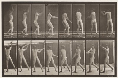 プレート309。ハンマー投げ 作： Eadweard Muybridge