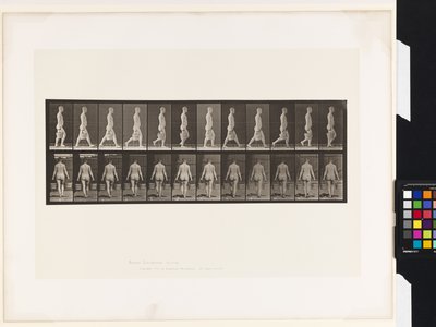 プレート30両手に水の入ったバケツを持って歩く姿 作： Eadweard Muybridge