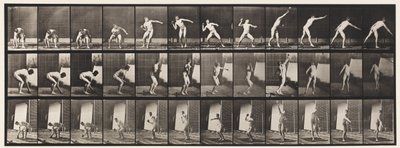 プレート310.Putting the Shot、1885 作： Eadweard Muybridge