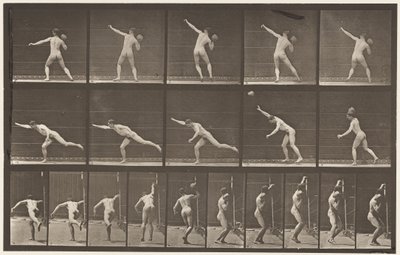 プレート313.20ポンドの岩石を積んで、1885年 作： Eadweard Muybridge