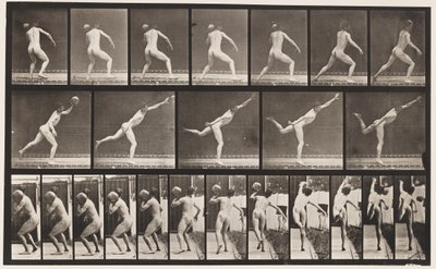 プレート316.20ポンドの岩石を積んで、1885年 作： Eadweard Muybridge