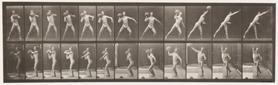 プレート319。75ポンドの岩を持ち上げる 作： Eadweard Muybridge