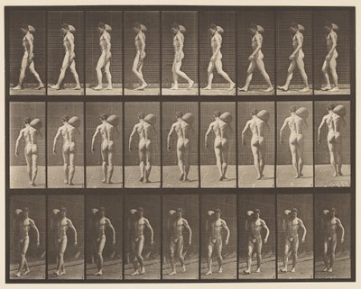 プレート31.歩く、右肩に75ポンドの石を運ぶ 作： Eadweard Muybridge
