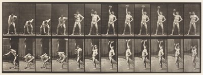 プレート320。50ポンドのダンベルを持ち上げる 作： Eadweard Muybridge