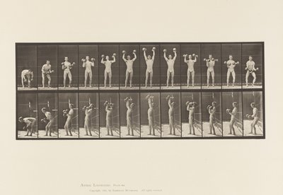 プレート322ダンベルを持ち上げる男性 作： Eadweard Muybridge