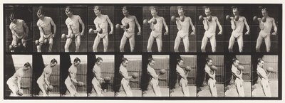 プレート324。カーリング50ポンド。ダンベル、モデル、長さ3-4 作： Eadweard Muybridge