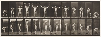 プレート325.2つの50ポンドを持ち上げて保持します。ダム・ベルズ、1885 作： Eadweard Muybridge