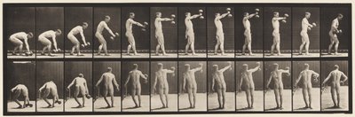 プレート326。50ポンドを持ち上げます。腕の長さのダンベル 作： Eadweard Muybridge