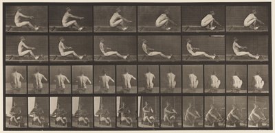 プレート328。ローイング 作： Eadweard Muybridge