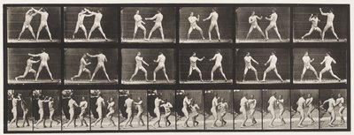 プレート329。ボクシング; （靴） 作： Eadweard Muybridge