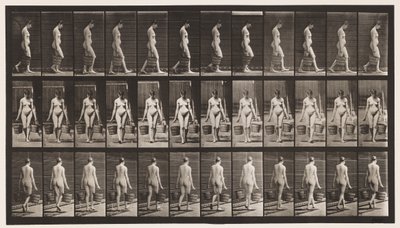 プレート32.歩く、両手に水の入ったバケツを運ぶ 作： Eadweard Muybridge