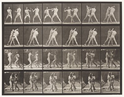 プレート330。ボクシング;クロスカウンター（靴） 作： Eadweard Muybridge