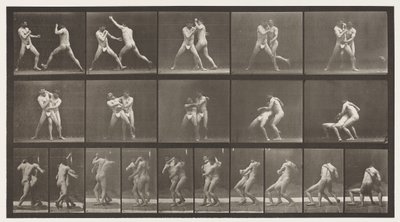 プレート331。ボクシング。クロスバトックのために停止 作： Eadweard Muybridge