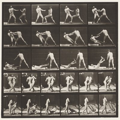プレート333。ボクシング; 53ノック52ダウン（靴） 作： Eadweard Muybridge