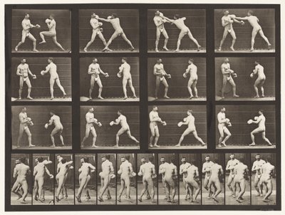 プレート335。ボクシング。手袋付き 作： Eadweard Muybridge