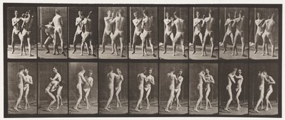 プレート337。ボクシング。開いた手 作： Eadweard Muybridge