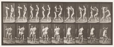 プレート339。ボクシング。開いた手 作： Eadweard Muybridge