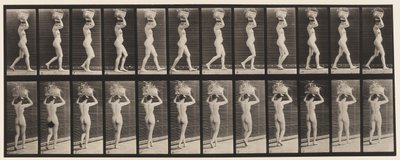 プレート33。ウォーキング、14ポンド。頭の上のバスケット、挙手、1872-1885 作： Eadweard Muybridge