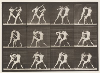プレート340ボクシング、オープンハンド 作： Eadweard Muybridge