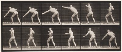 プレート343。打撃（左手） 作： Eadweard Muybridge