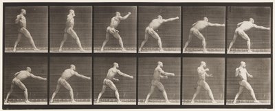 プレート 344一撃を加える（右手 作： Eadweard Muybridge