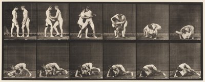 プレート345レスリング、ロック、1885 作： Eadweard Muybridge