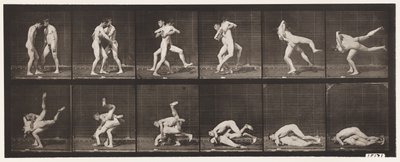 プレート347.レスリング、グレコローマン、1885 作： Eadweard Muybridge