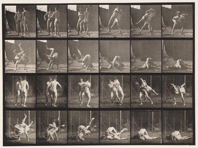 プレート348レスリング、グレコローマン、1885 作： Eadweard Muybridge