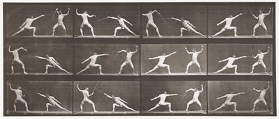 プレート349。フェンシング、1872〜1885 作： Eadweard Muybridge