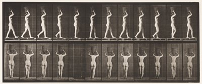 プレート34.ウォーキング 作： Eadweard Muybridge