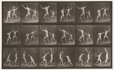 プレート350フェンシング 作： Eadweard Muybridge