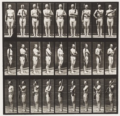 プレート353。サポートアームとアームポート、1872〜1885 作： Eadweard Muybridge