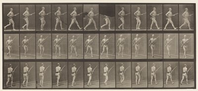 プレート359。充電用バヨネット、1872〜1885 作： Eadweard Muybridge